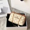 CELINE CLUTCH WITH CHAIN