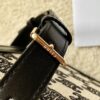 CELINE CLASSIQUE TRIOMPHE BAG