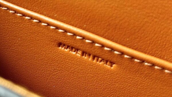 CELINE BELT BAG TRIOMPHE BELT IN TRIOMPHE CANVAS AND CALFSKIN