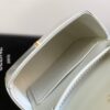 CELINE MINI TRIOMPHE