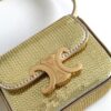 CELINE MINI TRIOMPHE