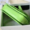 CELINE Cuir Triomphe