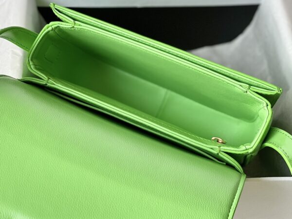 CELINE Cuir Triomphe