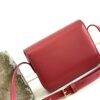 CELINE Cuir Triomphe
