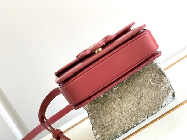 CELINE Cuir Triomphe