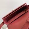 CELINE Cuir Triomphe