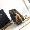 CELINE MULTI BAG IN TRIOMPHE