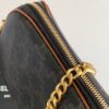 CELINE MULTI BAG IN TRIOMPHE