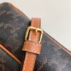 CELINE MULTI BAG IN TRIOMPHE