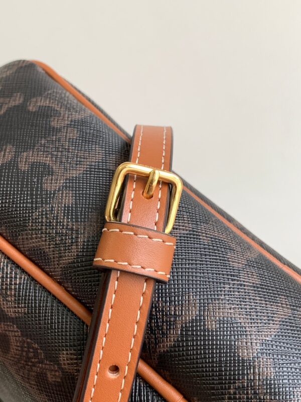 CELINE MULTI BAG IN TRIOMPHE