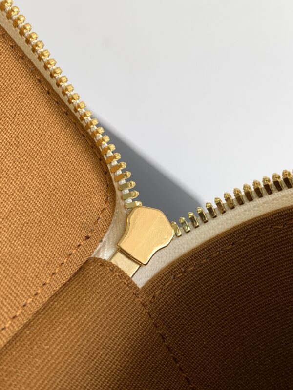 CELINE TRIOMPHE CANVAS