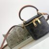 CELINE TRIOMPHE CANVAS