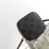 CELINE TRIOMPHE CANVAS