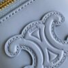 CELINE TRIOMPHE CANVAS