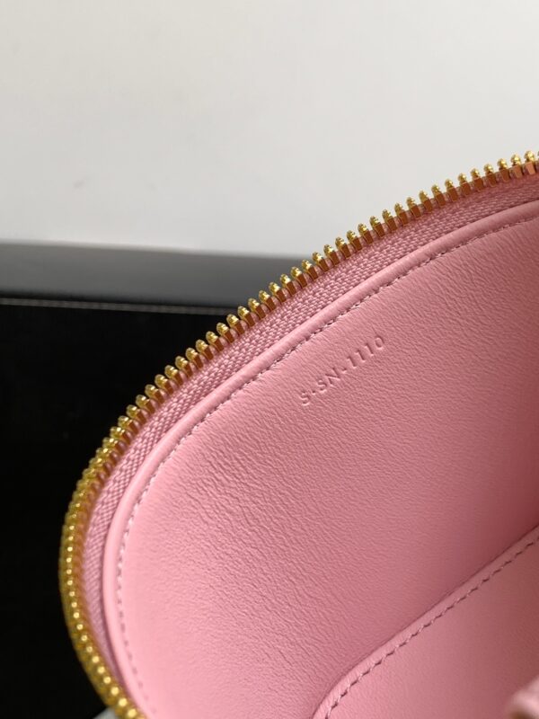 CELINE TRIOMPHE CANVAS