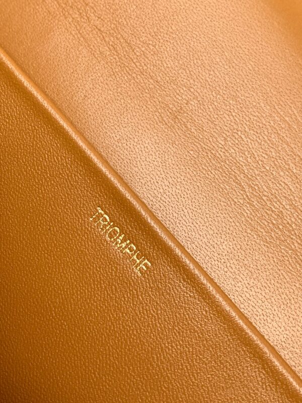 CELINE CLASSIQUE TRIOMPHE BAG