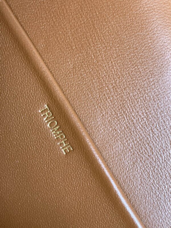 CELINE CLASSIQUE TRIOMPHE BAG