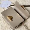 CELINE TEEN TRIOMPHE BAG