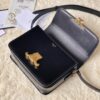 CELINE TEEN TRIOMPHE BAG