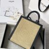 CELINE CABAS TRIOMPHE TOTE