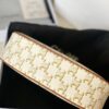 CELINE AVA TRIOMPHE SOFT BAG
