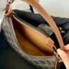 CELINE AVA TRIOMPHE SOFT BAG