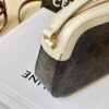 CELINE TRIOMPHE SMALL CAMERA BAG