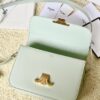 CELINE CLASSIQUE TRIOMPHE BAG