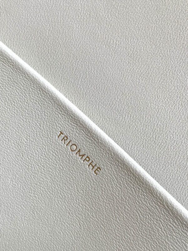 CELINE CLASSIQUE TRIOMPHE BAG