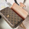 CELINE CUIR TRIOMPHE