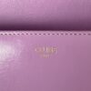 CELINE CUIR TRIOMPHE