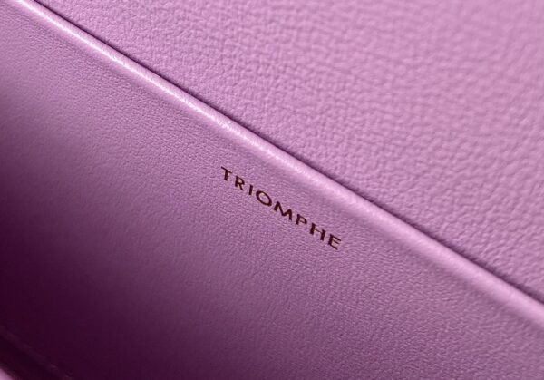 CELINE CUIR TRIOMPHE