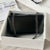 CELINE CUIR TRIOMPHE