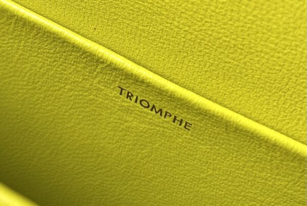 CELINE CUIR TRIOMPHE