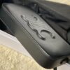 CELINE CAMERA BAG