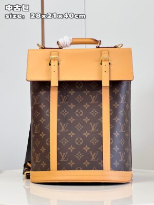 Louis Vuitton Montsouris Backpack
