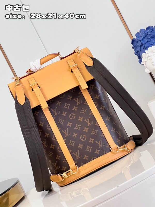 Louis Vuitton Montsouris Backpack