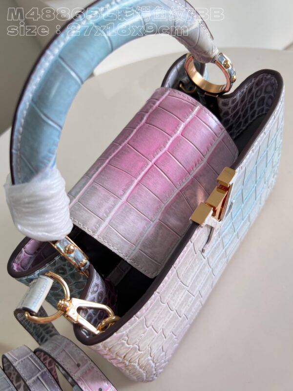 Louis Vuitton Capucines BB Small Handbag