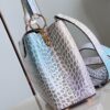 Louis Vuitton Capucines BB Small Handbag
