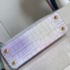 Louis Vuitton Capucines BB Small Handbag
