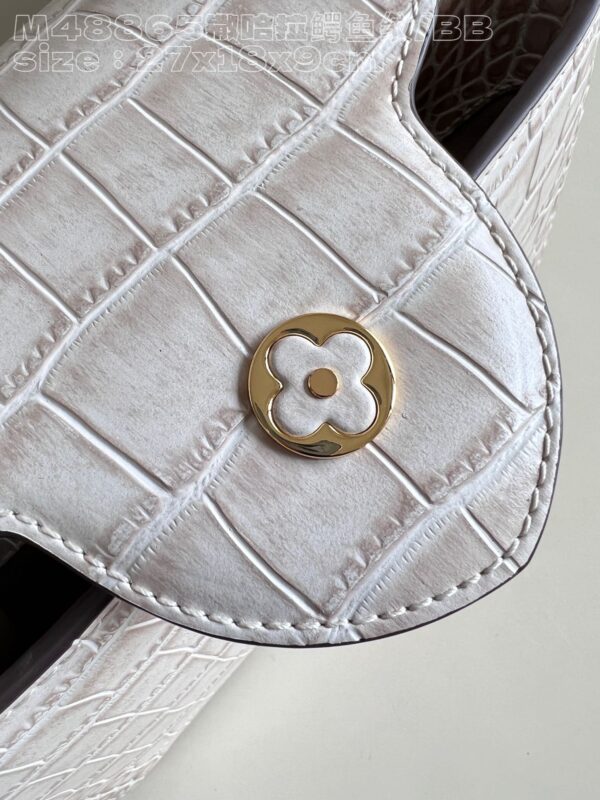 Louis Vuitton Capucines BB Small Handbag