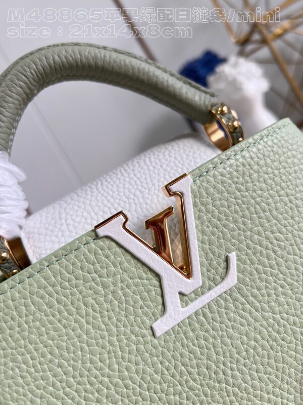 Louis Vuitton Capucines  Mini Handbag