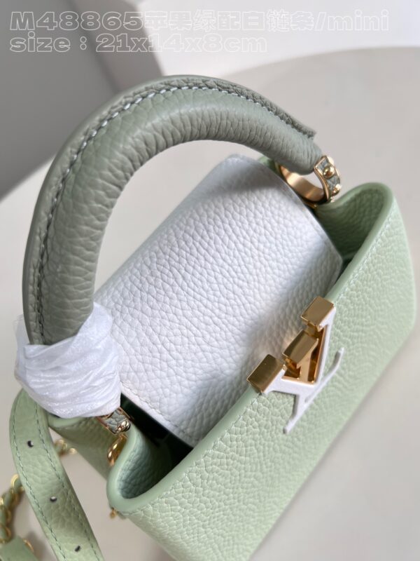 Louis Vuitton Capucines  Mini Handbag