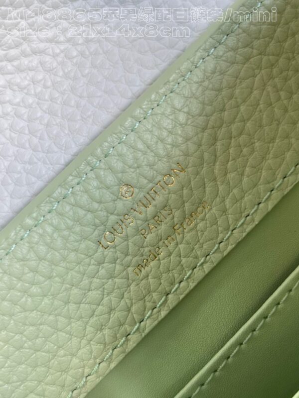 Louis Vuitton Capucines  Mini Handbag