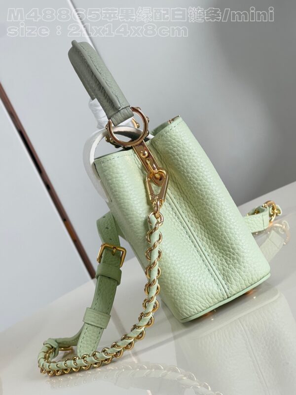 Louis Vuitton Capucines  Mini Handbag