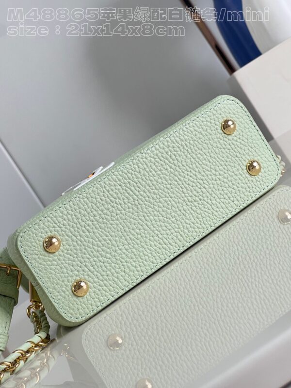 Louis Vuitton Capucines  Mini Handbag