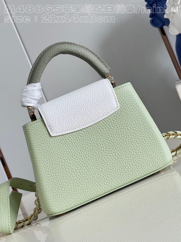 Louis Vuitton Capucines  Mini Handbag