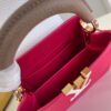 Louis Vuitton Capucines  Mini Handbag