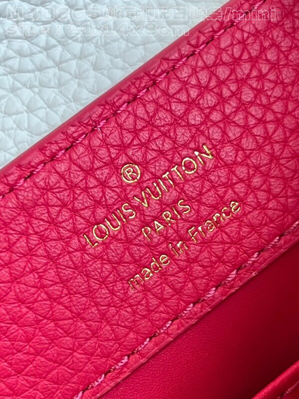 Louis Vuitton Capucines  Mini Handbag