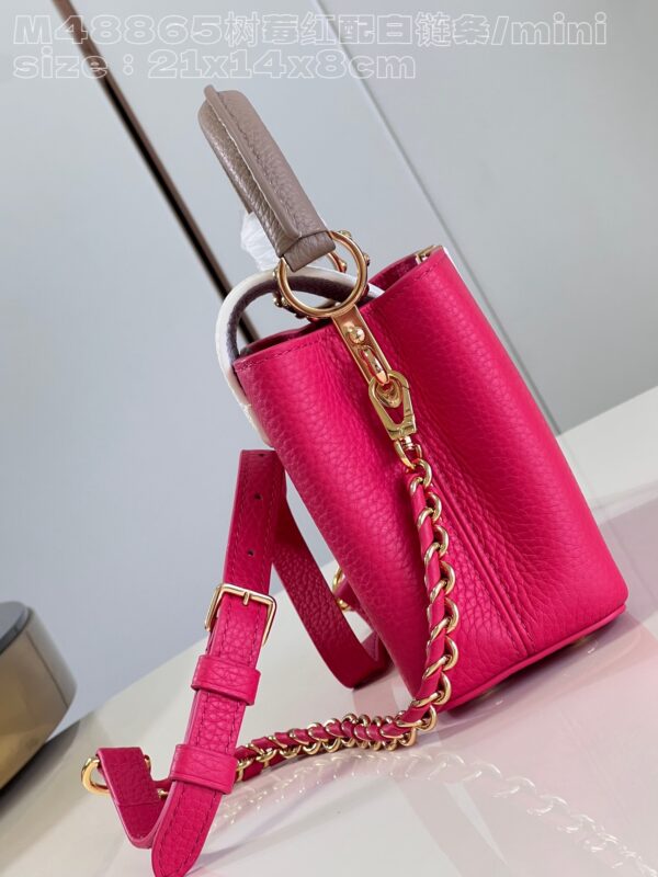 Louis Vuitton Capucines  Mini Handbag
